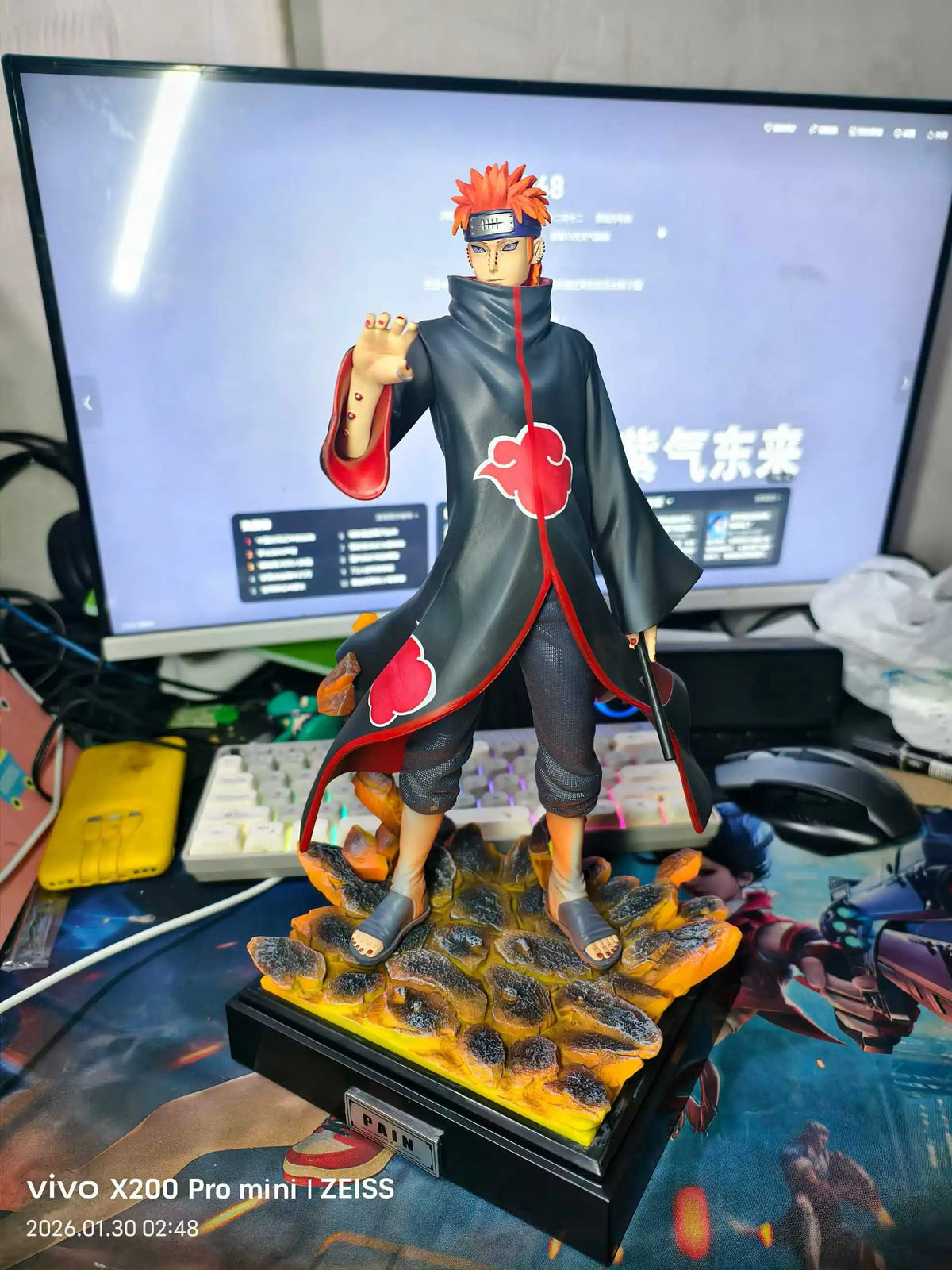 33cm Pain